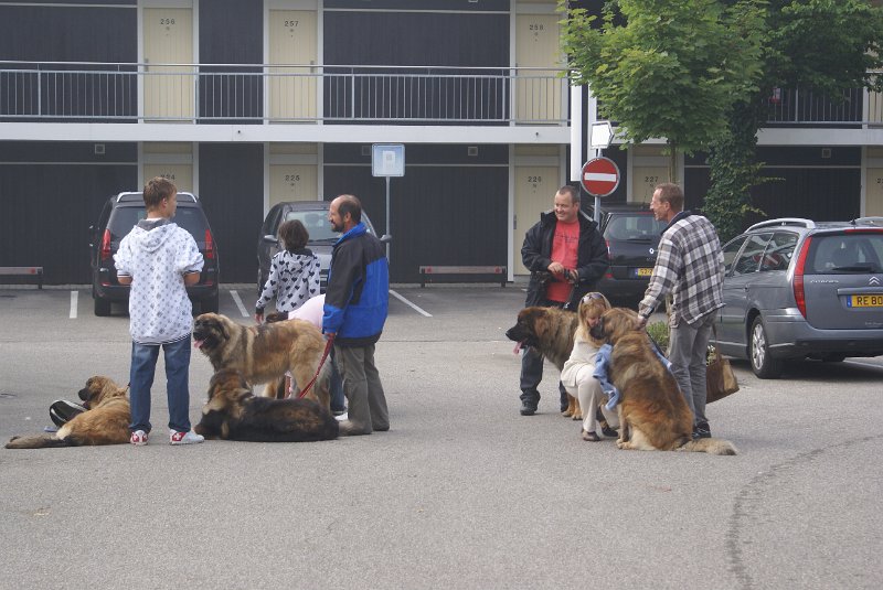 Nachzuchttreffen 08_08 010.jpg - Treffen auf dem Parkplatz